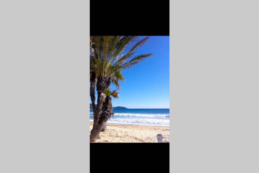 Au Petit Bonheur Vue Mer, Parking, 400M Plage Le Lavandou Exterior photo