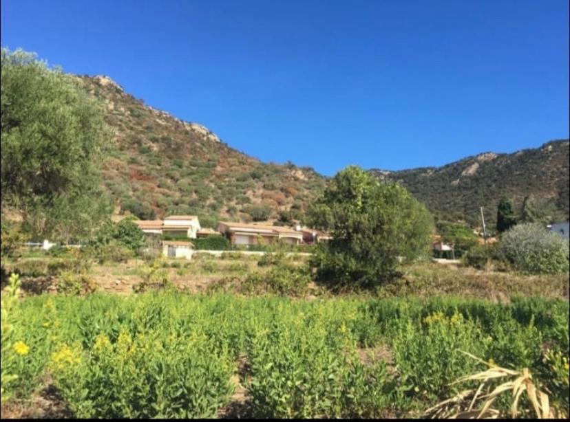 Au Petit Bonheur Vue Mer, Parking, 400M Plage Le Lavandou Exterior photo